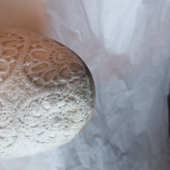 Lower East Side Casual Shoes - Picture 7 of 8